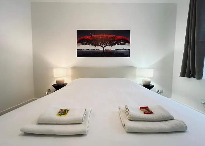 Апартаменты 1 Clairmarais T2 Cosy A 2 Pas Du Centre-ville